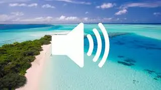 Sea waves with birds - Sound Effect [HQ]