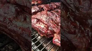 I stuffed my Taeger! 7 racks of ribs!! Did it work? #rackofribs #beefshortribs #babybackribs #bbq