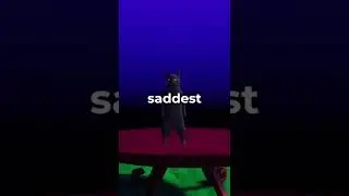 cat gives you life advice