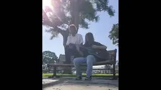 Plush - STP (Greenhouse cover)