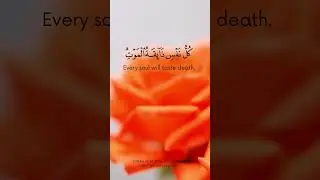 Surah Al Anbiya, ayat 34 & 35