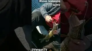 Я поймала щуку, УРА! 