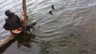 Berak sambil kasih makan ikan. Lihat endingnya