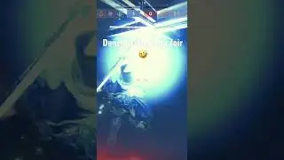 Movement exotic🤣 