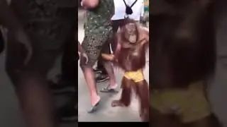 Oh You Touch My Tralala Monkey