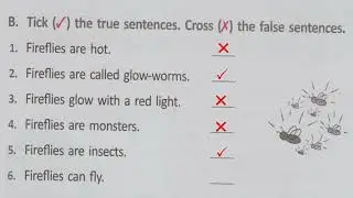 ENGLISH - READING COMPREHENSION - GRAMMAR