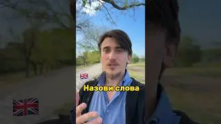 🇬🇧 А СКОЛЬКО СЛОВ НАЗОВЁШЬ ТЫ ? #rek #рекомендации #реки #английскийдлявзрослых #английскийязык