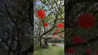 Север или юг Гоа что выбрать? 👇