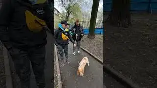 СОБАЧИЙ VLOG