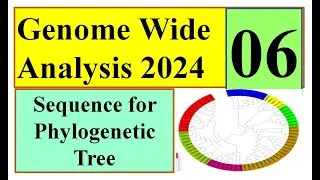 Sequence for Phylogenetic Tree part 01 Genome wide study 2024 Part 06