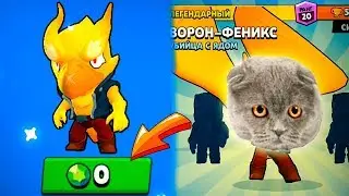 THE CAT AND THE PHARAOH GAVE THE MOST EXPENSIVE SKINS TO THE SUBSCRIBER BRAWL STARS! FUNNY RINKS!