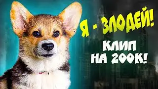 Корги Кекс - Я ЗЛОДЕЙ!! Клип на 200К!! (Official music video)