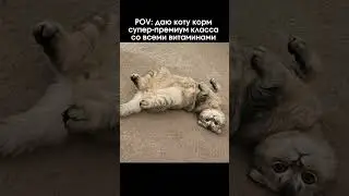 Это Ахиллес 🤣🤣🤣