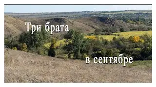 Три брата в сентябре