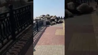 Ледоход на Амуре