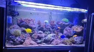 Acquario Marino