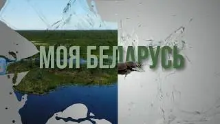 Моя Беларусь #3 | Споровское озеро