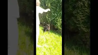 Ура, пятница! Можно делать всё что я хочу! 