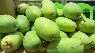 SUPER DELICIOUS MANGOES PHILIPPINES.