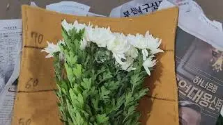 4.1045
