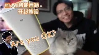 小爱同学真的如你们所说可以秒杀所有智能音箱吗？我想你们错了！