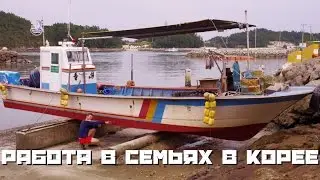 Работа в Корее в семьях, лекция в Новосибе, (1 из 5)