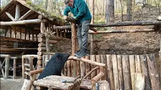 Лесная жизнь | Строительство парной в землянке | Кабан помощник  | бушкрафт | bushcraft.