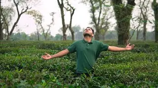 চায়ের শহর "শ্রীমঙ্গল" || Sylhet Journey: From Tea Fields to Teacup Delight