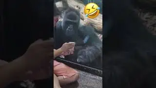 Сама телефон отдала и смотрит.