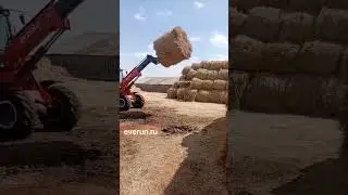 Телескопический фронтальный погрузчик EVERUN ER2500F 2,5 тонны