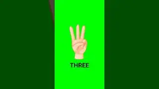 5 seconds fingers countdown timer green screen 