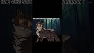 приколы КВ звездоцап 