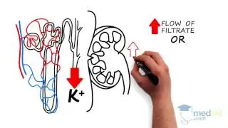 Internal Medicine – Hypokalemia: By Steven Cheng M.D.