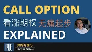 期权怎么玩 | 看涨期权无痛起步（走好进入期权市场的第一步）| The Ultimate Guide to Call Option