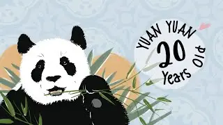 圓圓20歲生日快樂