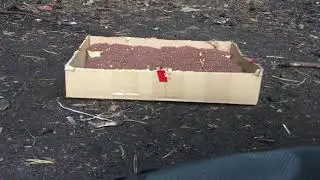Горение 10.000 спичек одновременно