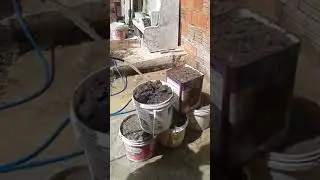 Aprenda a planta macaxeira no balde ( parte 1)