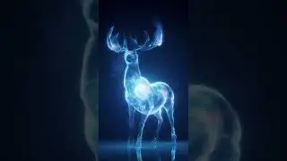 Patronus with Houdini!  