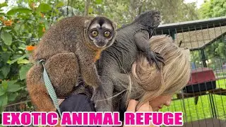 Exotic Pet Refuge | Monster Mike