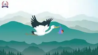 ANIMATION