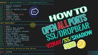 How TO Open All Ports and Manage Firewall On My VPS