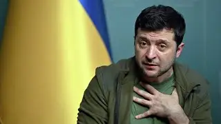 43.  ЗАМЕНИТЕЛИ ВЕРХОВНЫХ ГЛАВНОКОМАНДУЮЩИХ