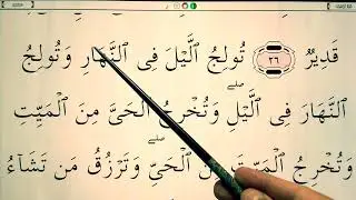 Quran for Beginners Lesson 134 - Surah Ali 'Imran (ayahs 26-28)