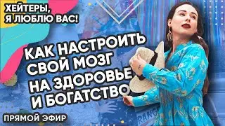 ПОЧЕМУ НУЖНО ЛЮБИТЬ ХЕЙТЕРОВ – Как настроить свой мозг на здоровье и богатство | Света Каклета