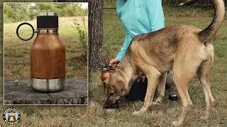 33oz Water Bottle w/ Attached Pet Bowl