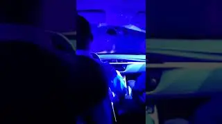 Выезд на сцену в цирке. Вид из-за кулис.