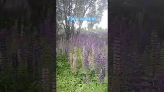 Красота природы!!!