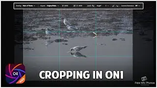 Cropping Images: A Simple Guide for Beginners
