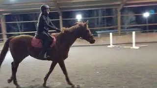 Horse Back Lesson on Adonis (extremely late)