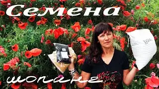 Где купить хорошие семена для микрозелени.
